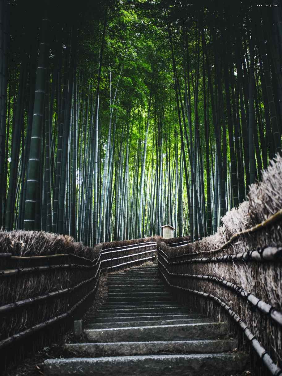 ʮ塱(w)Gɫa(chn)I(y)l(f)չ YЈD(zhun)